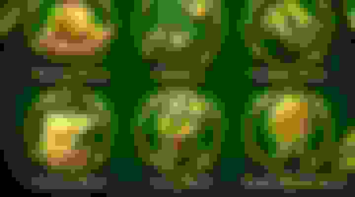bg-4